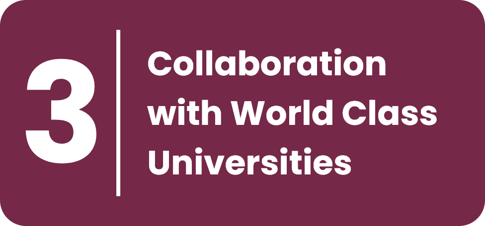 Curriculum button 03