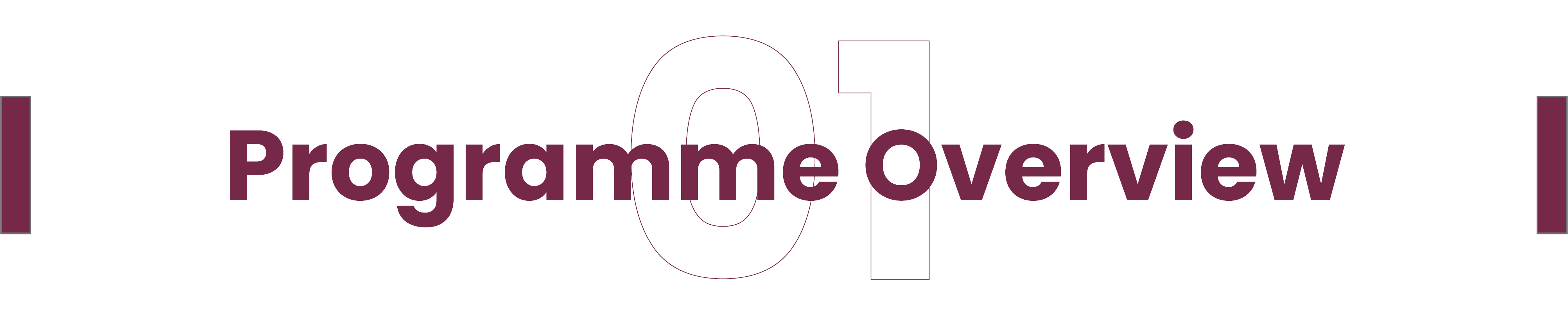 Intro Programme Overview